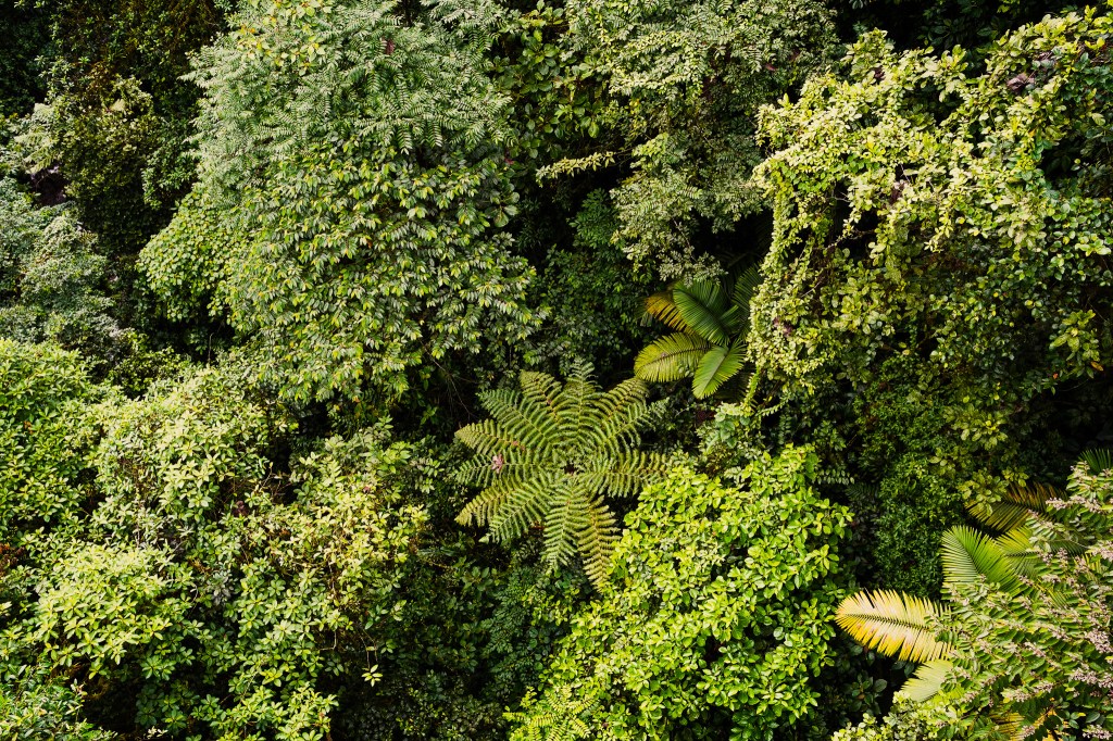 7 Tips to Take Care of Your Mental and Physical Health While&nbsp;Traveling