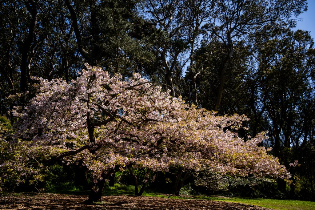 What Happened To Your Travel&nbsp;Goals?