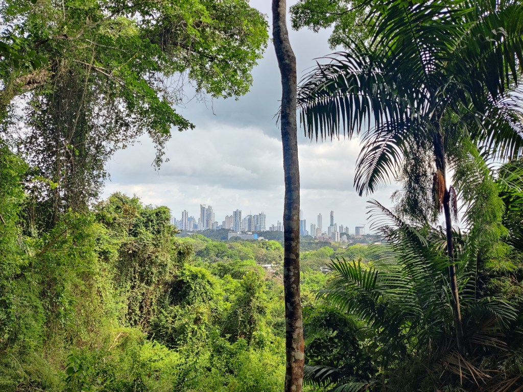 Panama is Dope & All Inclusives Aren’t That&nbsp;Bad